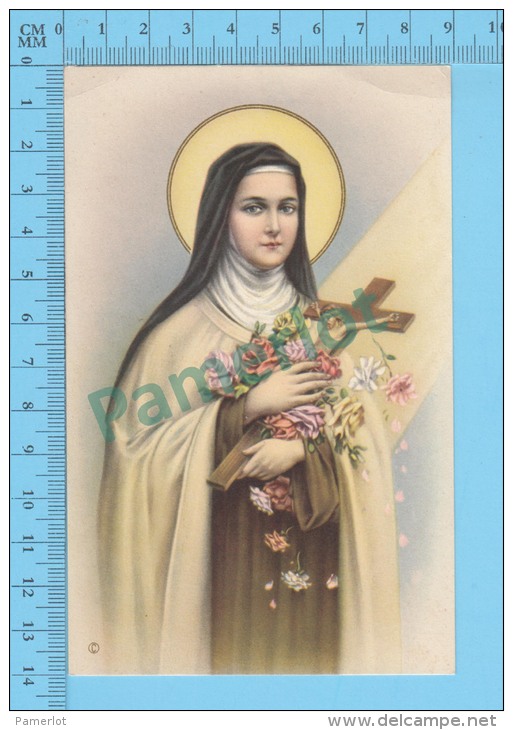 Grande Image NB-01140 ( Saint Thérèse De L'enfant Jésus ) Image Pieuse Santini Holycard 2scans - Images Religieuses