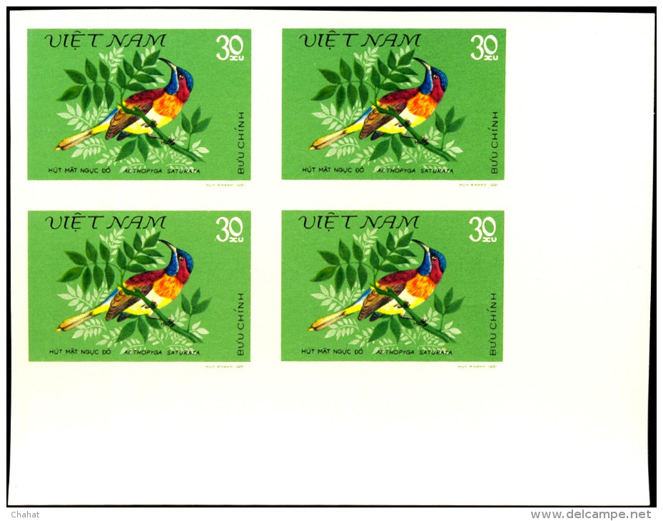 HUMMING BIRDS-SUN BIRDS-IMPERF BLOCKS-SET-VIETNAM-SCARCE-MNH-A5-669 - Colibríes