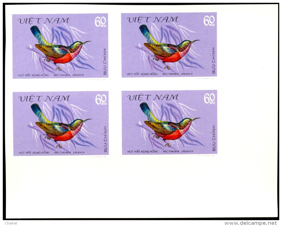 HUMMING BIRDS-SUN BIRDS-IMPERF BLOCKS-SET-VIETNAM-SCARCE-MNH-A5-669 - Kolibries