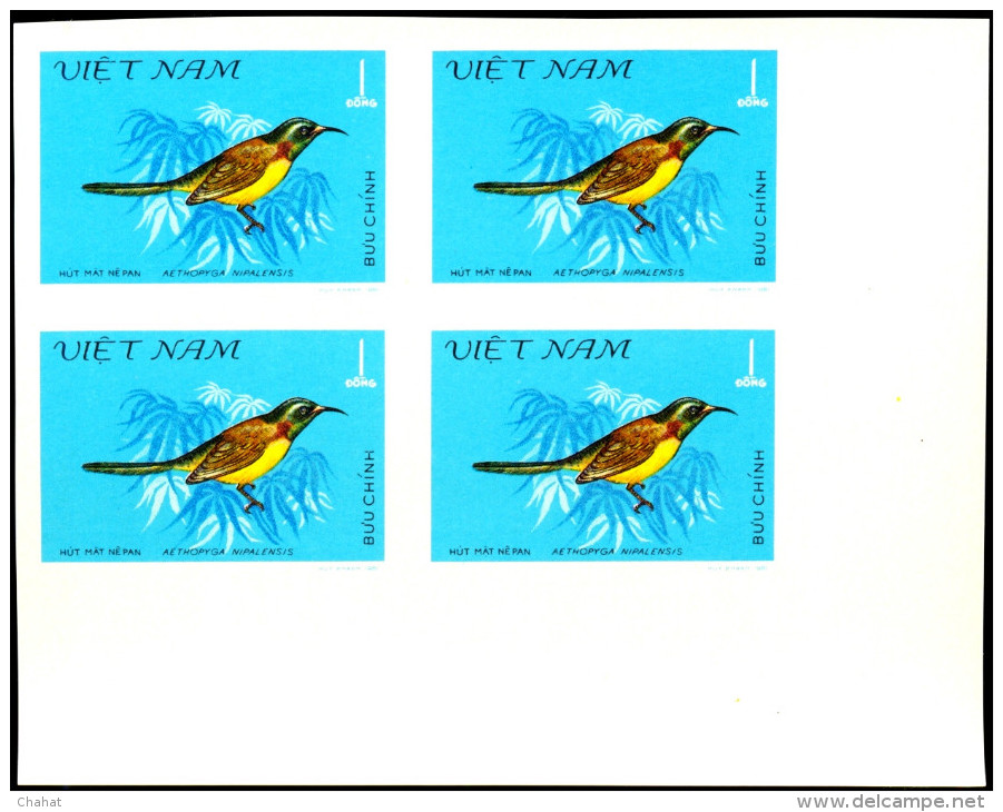 HUMMING BIRDS-SUN BIRDS-IMPERF BLOCKS-SET-VIETNAM-SCARCE-MNH-A5-669