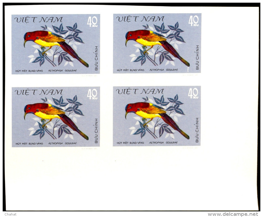 HUMMING BIRDS-SUN BIRDS-IMPERF BLOCKS-SET-VIETNAM-SCARCE-MNH-A5-669