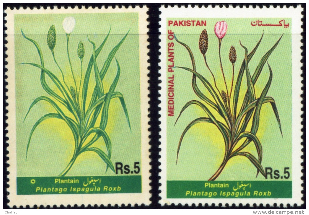 MEDICINAL PLANTS-C-ERROR-RED MISSING-PAKISTAN-SCARCE-MNH-A5-674 - Plantas Medicinales