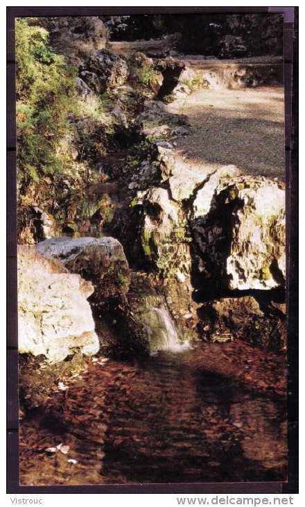 Hot Spring National Park - Thermal Water Display Springs - Not Circulated - Non Circulé - Nicht Gelaufen. - Hot Springs