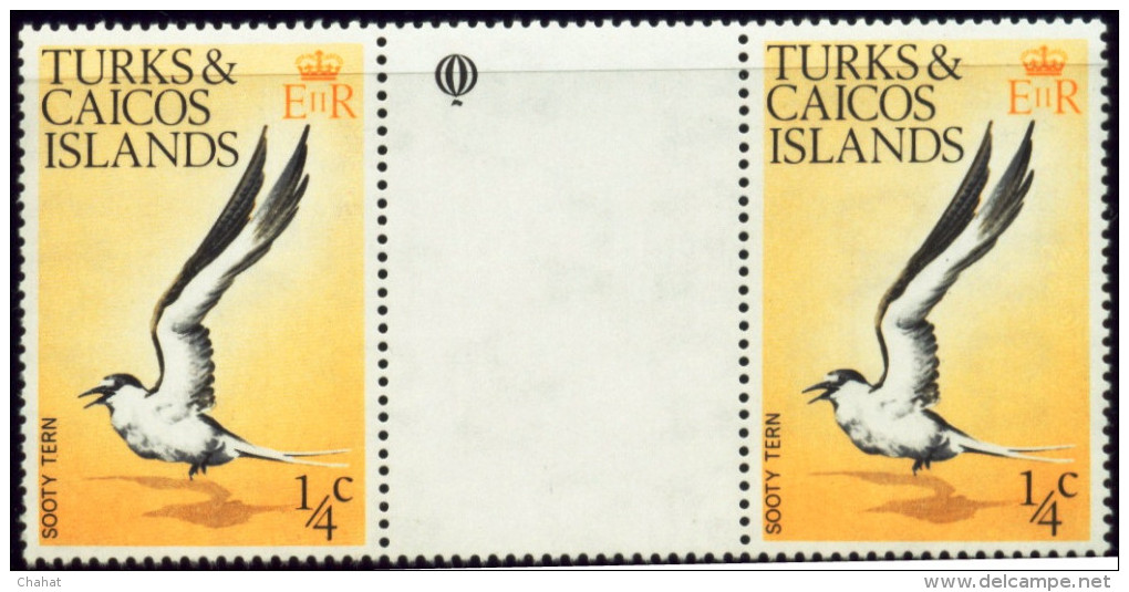 BIRDS-SOOTY TERN-GUTTER PAIR-TURKS & CAICOS ISLANDS-MNH-A5-782 - Albatrosse & Sturmvögel