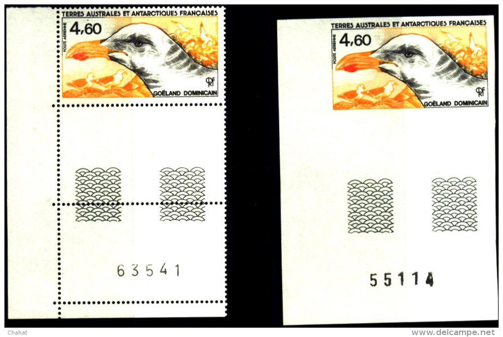 MARINE BIRDS-KELP GULL-FRENCH ANTARCTIC TERRITORY-1986-IMPERF & PERF-SCARCE-MNH-A5-787 - Marine Web-footed Birds