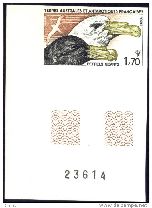 MARINE BIRDS-SOTHERN GIANT PETREL-FRENCH ANTARCTIC TERRITORY-1986-IMPERF PLATE PROOF-SCARCE-MNH-A5-788 - Marine Web-footed Birds