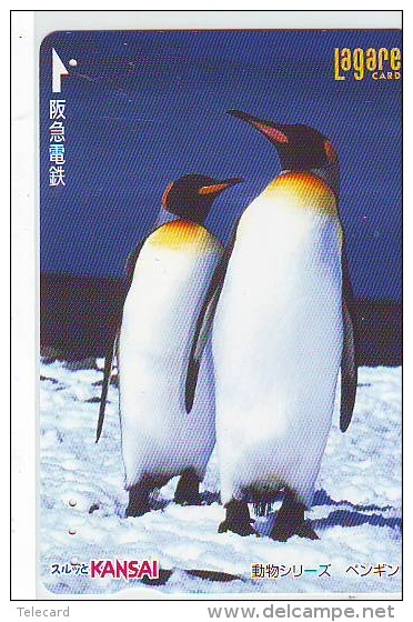 Oiseau PENGUIN Pinguin MANCHOT PINGOUIN Bird (975) - Pinguins