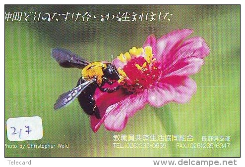 ABEILLE BIENE BEE BIJ ABEJA (217) - Honeybees