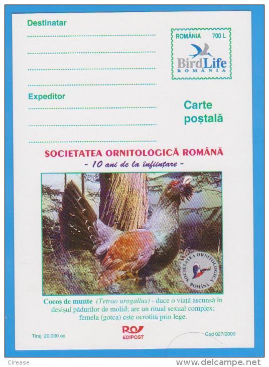 ROMANIA 2000 Postcard Stationery Cover BIRD. ROMANIAN Ornithological Society - Coucous, Touracos