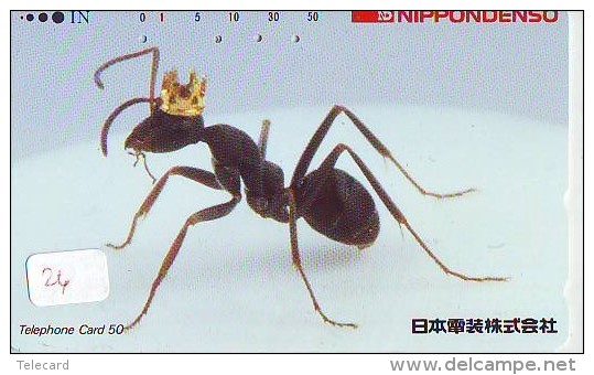 Ant Fourmi Mier Ameise - Insect (26) - Other & Unclassified