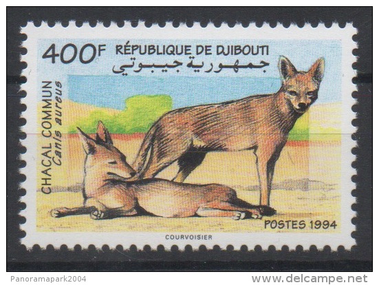 Djibouti Dschibuti 1994 Mi. 604 ** Neuf MNH Chacal Commun Fauna Faune Goldschakal RARE - Djibouti (1977-...)