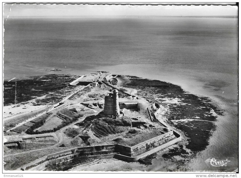 Saint Vaast La Houge Vue Aerienne - Saint Vaast La Hougue