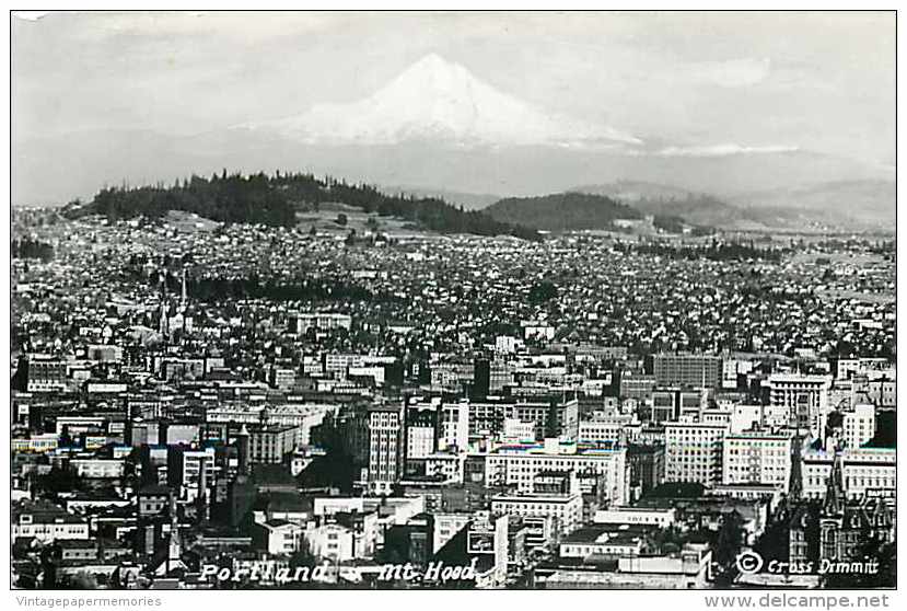 248981-Oregon, Portland, RPPC, City View, Mount Hood, Cross & Dimmitt - Portland