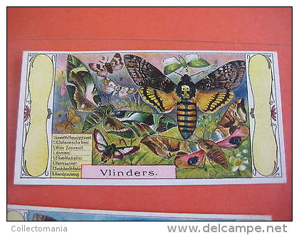 BIJLOOS Eau De Cologne 9 Kaartjes Chromos Relame Aan Achterzijde PARFUM ALKMAAR Approx. 1910 Vissen Vlinders Papillons - Advertising