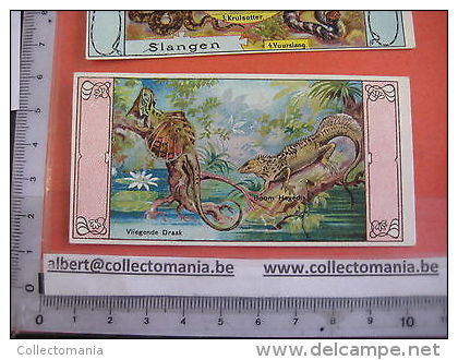 BIJLOOS Eau de Cologne 9 kaartjes chromos relame aan achterzijde PARFUM ALKMAAR approx. 1910 vissen vlinders papillons
