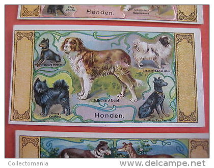 Geen Postkaarten 6 Perfume Litho Chromos Anno 1910 BIJLOOS TILBURG Eau De Cologne VOS KATTEN Panter Tijger PARFUM Honden - Dogs