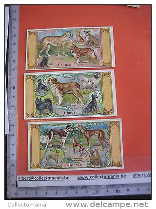 Geen Postkaarten 6 Perfume Litho Chromos Anno 1910 BIJLOOS TILBURG Eau De Cologne VOS KATTEN Panter Tijger PARFUM Honden - Dogs
