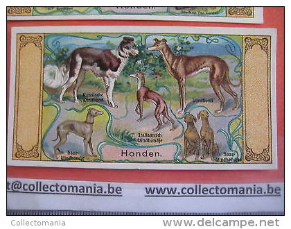Geen Postkaarten 6 Perfume Litho Chromos Anno 1910 BIJLOOS TILBURG Eau De Cologne VOS KATTEN Panter Tijger PARFUM Honden - Dogs