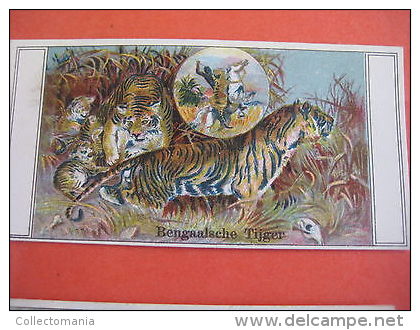 geen postkaarten 6 perfume litho chromos anno 1910 BIJLOOS TILBURG Eau de Cologne VOS KATTEN panter tijger PARFUM honden