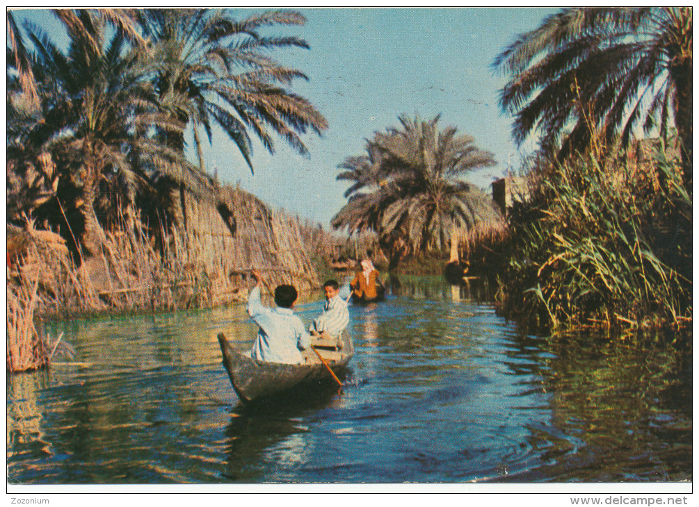 IRAQ  IRAK NASIRIYAH, THE MARSHES, BOYS IN BOAT, Vintage Old Photo Postcard - Irak
