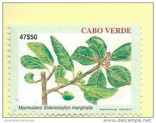 TIMBRES - STAMPS - CAPE VERDE / CAP VERT - 2001 - IPLANTES ENDÉMIQUES - Sidereoxylon Marginata - TIMBRE OBLITÉRÉ - Cape Verde
