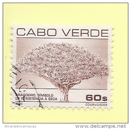 TIMBRES - STAMPS - CAP VERT / CAPE VERDE - 2000 -  ARBRE DRAGOEIRO - TIMBRES OBLITÉRÉ CLÔTURE DE SÉRIE - Cape Verde