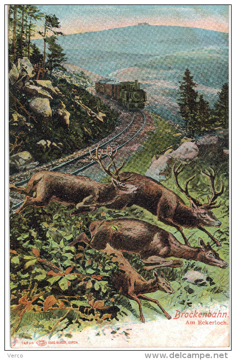 Carte Postale Ancienne D´ALLEMAGNE - BROCKENBAHN AM ECKERLOCH - Schierke