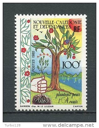 Nlle Calédonie 1985 N° 509 **  Neuf = MNH Superbe Cote 2.80 € Flore Arbres Trees Reboisement - Nuevos