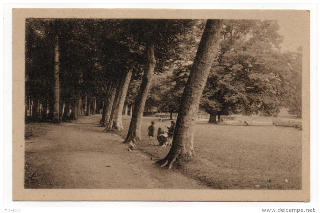 SAINT HONORE LES BAINS--1953--Allée Du Parc (animée) éd Goury---pas Très Courante - Saint-Honoré-les-Bains