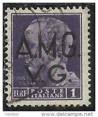 VENEZIA GIULIA 1945 - 1947 TRIESTE AMGVG AMG VG POSTA ORDINARIA LIRE 1 LIRA USATO USED OBLITERE' - Gebraucht