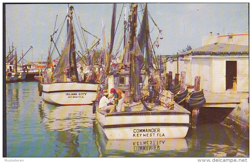 United States PPC FL - Shrimp Boats Key West Fla. "Lusterchrome" K- 3784 (2 Scans) - Key West & The Keys