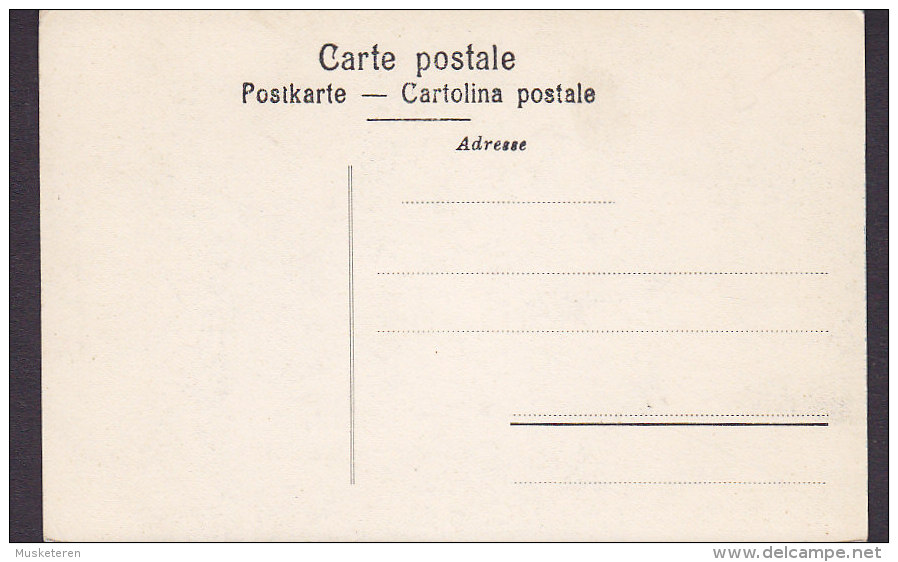 Italy PPC Ferrovia Parlezzo-Menaggio Vista Sul Mte Legnone Railway Wehrli A. G. Kilchberg-Zürich (2 Scans) - Como