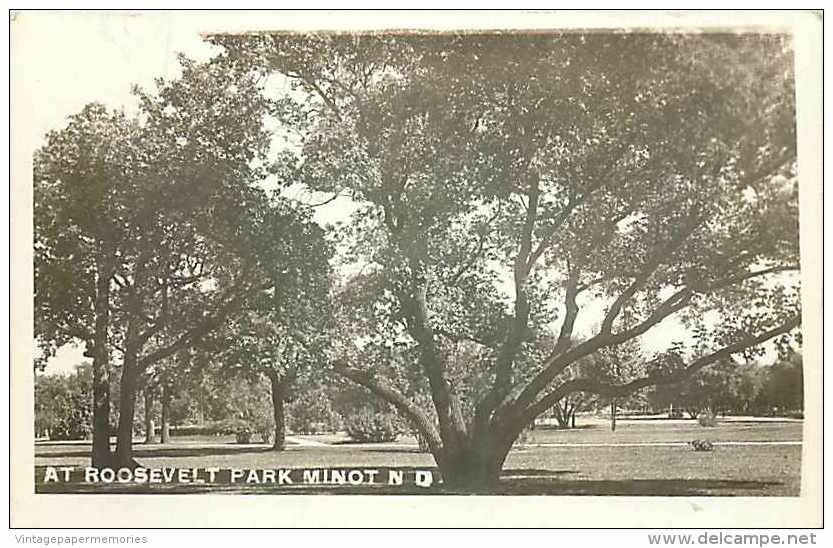 249041-North Dakota, Minot, RPPC, Roosevelt Park, Scenic View - Minot