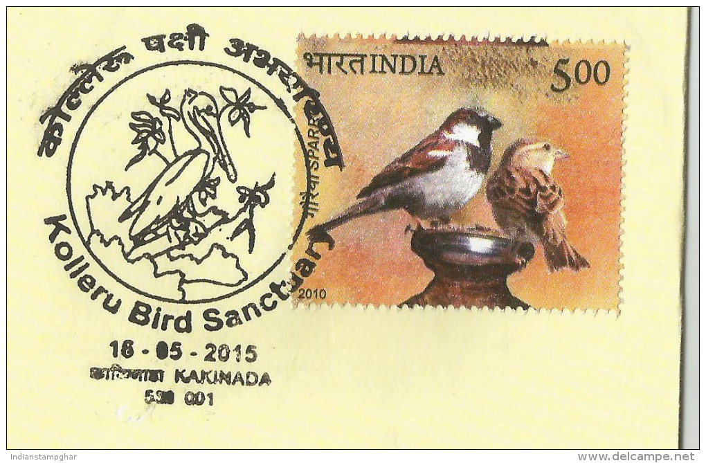 Kolleru Bird Sanctuary,Migratory Birds Include Grey Or Spot Billed Pelican, Siberian Crane,Painted Storks, Cover 2015 - Patrijzen, Kwartels