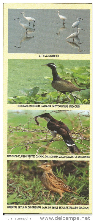 Kolleru Bird Sanctuary,Migratory Birds Include Grey Or Spot Billed Pelican, Siberian Crane,Painted Storks, Cover 2015 - Rebhühner & Wachteln