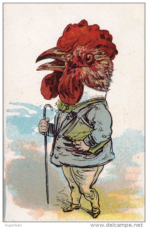 COQ HABILLÉ, ATTITUDE HUMAINE / DRESSED COCK / ROOSTER, HUMAN ATTITUDE - C.P. ANCIENNE / OLD POSTCARD ~ 1905 (s-279) - Autres & Non Classés