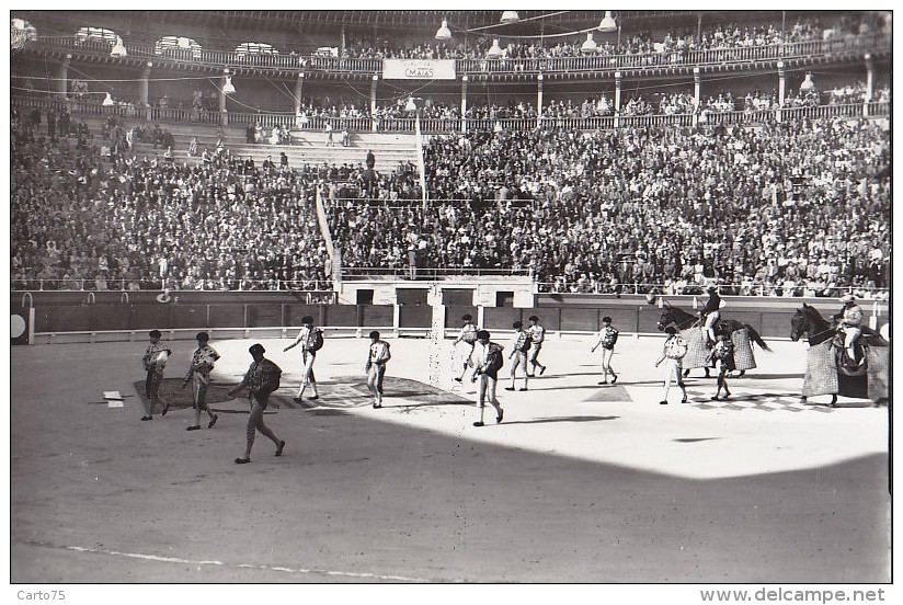 Espagne - Islas Baleares - Mallorca - Palma -  Arênes - Interior Plaza De Toros - Mallorca