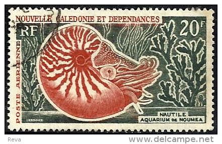 NEW CALEDONIA 20 FRANCS AQUARIUM FISH MALTILE MARINE LIFE SET OF 1 UHD 1964 SG359 POSTMARK LEFT READ DESCRIPTION !! - Gebruikt