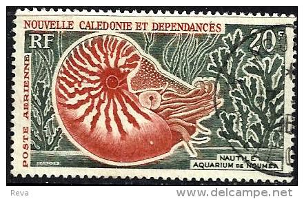 NEW CALEDONIA 20 FRANCS AQUARIUM FISH MALTILE MARINE LIFE SET OF 1 UHD 1964 SG359 POSTMARK RIGHT READ DESCRIPTION !! - Used Stamps