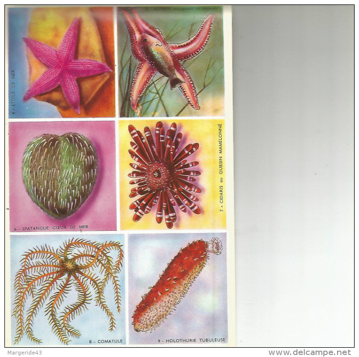 CARNET DIDACTO - SCIENCES - CRUSTACES, COELENTERES, ECHINODERMES.