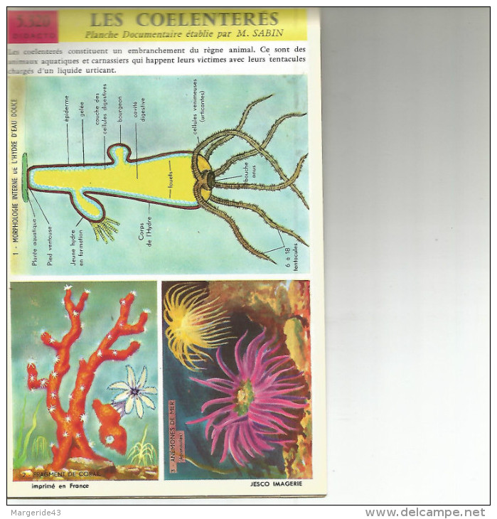 CARNET DIDACTO - SCIENCES - CRUSTACES, COELENTERES, ECHINODERMES.