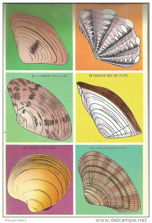 CARNET DIDACTO - SCIENCES - MOLLUSQUES,