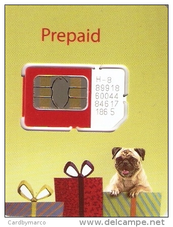 *INDIA - VODAFONE* -  Scheda GSM NUOVA (MINT) (mini Card) - India