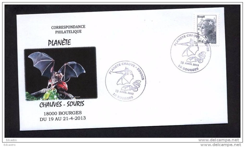 6.- 001 FRANCE 2013. SPECAL POSTMARK. BATS. - Chauve-souris