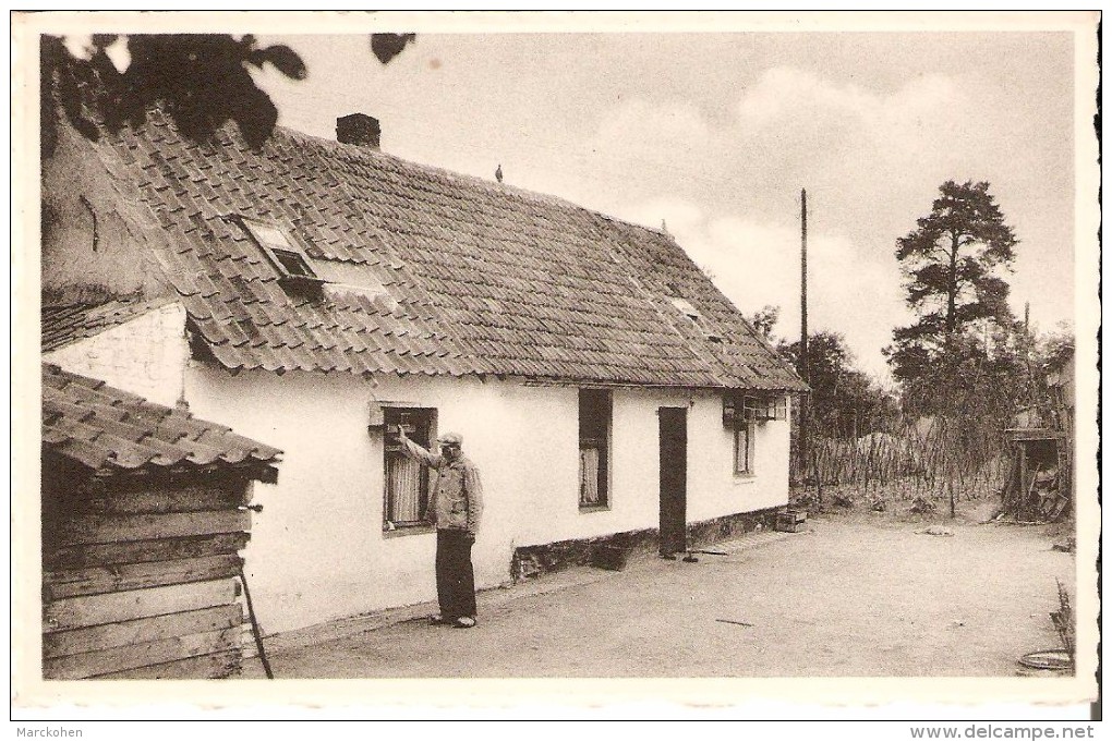 KEERBERGEN (3140) : Ferme De / Boerderij Van POLLE NOS. Petite Animation. CPSM Dentelée Très Peu Courante. - Keerbergen