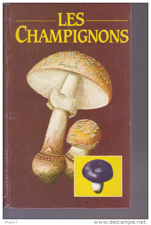 LES CHAMPIGNONS Texte Et Illustrations De Aurel DERMEK, Très Nombreuses Planches Couleurs, 1985 - Gastronomie