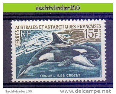 Nbu104 FAUNA WALVIS ORKA KILLERWHALE SEA MAMMAL MARINE LIFE TAAF TERRES AUSTRALES ET ANTARCTIQUES FRANCAISES 1969 ONG/MH - Wale