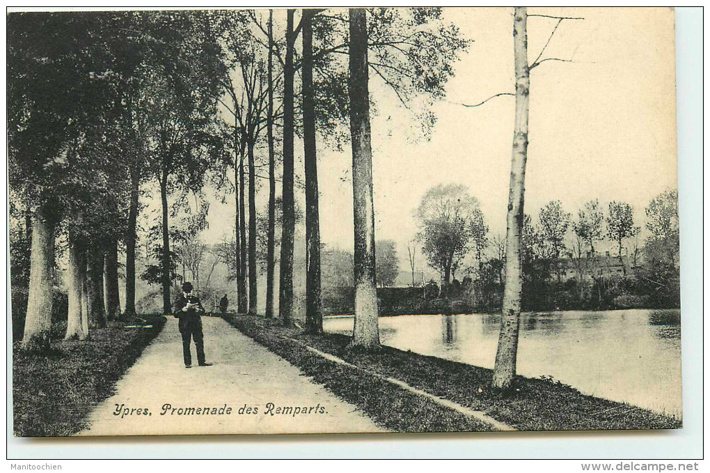 BELGIQUE YPRES PROMENADE DES REMPARTS - Autres & Non Classés