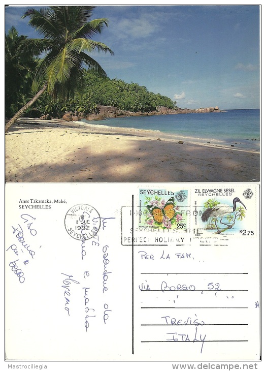 SEYCHELLES  TAKAMAKA   Mahé  Nice Stamps - Seychelles