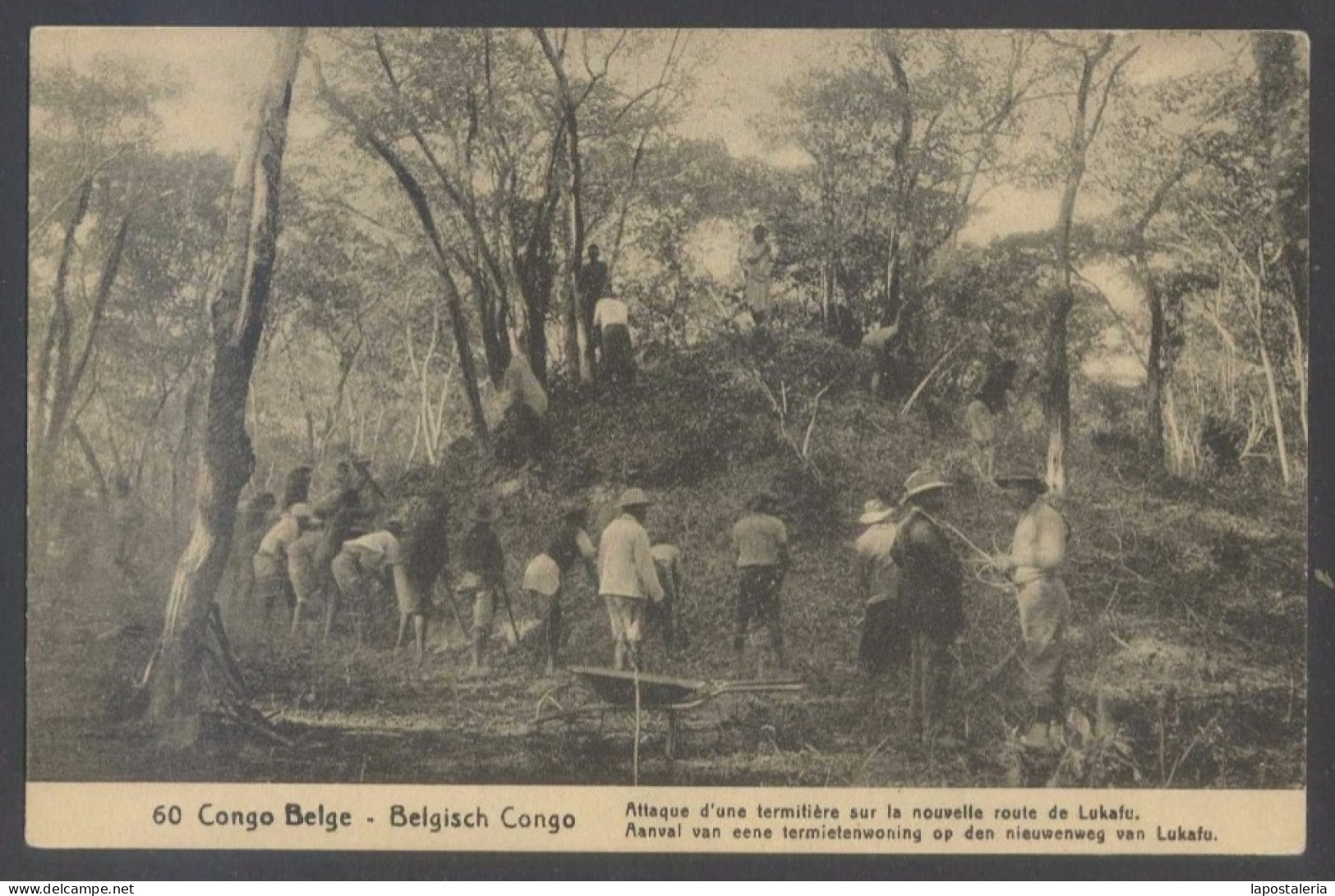 Lukafu. *Congo Belge - Attaque D'une Termitière Sur La Nouvelle Route De Lukafu* Entero Postal. - Congo Belga